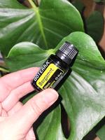 Bergamot von doterra ätherische öle neu ungeöffnet Hessen - Kassel Vorschau