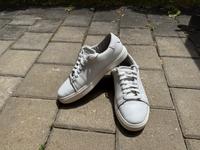 Herren Sneakers Calvin Klein, weiß, Gr. 44 München - Moosach Vorschau