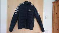 Leichte Daunenjacke Adidas Dresden - Gompitz Vorschau