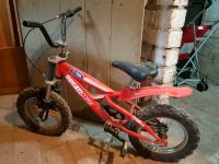 Kinder Fahrrad Ducati Fat Bike Baden-Württemberg - Riedlingen Vorschau