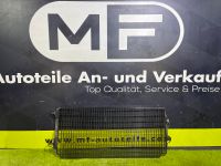 Renault Master 3 Lüftungsgitter Gitter Grill vorne 622548459R Eimsbüttel - Hamburg Stellingen Vorschau