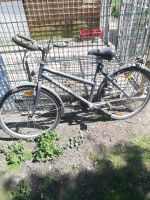 Verkaufe 2 Fahrräder sind fahrbereit nur Reinigung Sachsen - Radeburg Vorschau