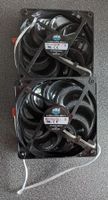 7 x Coolermaster 120mm Gehäuselüfter A12025-20RB-3BN-F1 Hessen - Fulda Vorschau