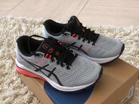 ASICS Turnsuche Herzogtum Lauenburg - Geesthacht Vorschau