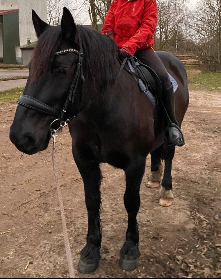 Reitbeteiligung in Todesfelde