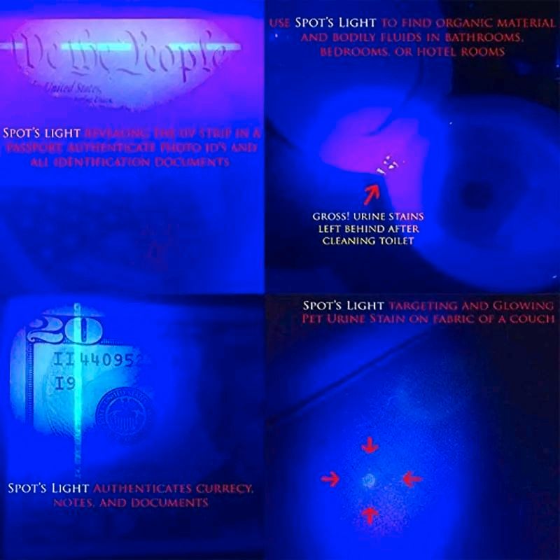 UV Taschenlampe Schwarzlicht Geldscheinprüfer 9 LEDs in Bad Iburg