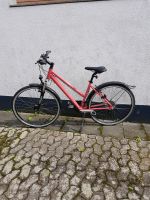 Panther Quartus28" Crossbike 1.0 24 Gang 28" NEU!!! Nordrhein-Westfalen - Dinslaken Vorschau