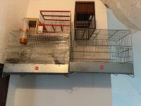 Vögel Käfig zu verkaufen Niedersachsen - Osnabrück Vorschau