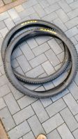 Maxxis MTB 29 Zoll Reifen hi. u. vo. Neuwertig Bayern - Ludwigsstadt Vorschau