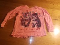 Kinder Pullover rosa Katzen Größe 104 Nordrhein-Westfalen - Plettenberg Vorschau