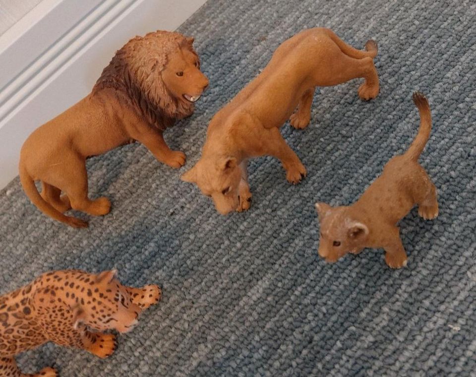 Schleich Set Raubtiere Tiger Löwe Puma in Springe