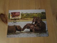 Aus Nachlass 24 verschiedene WWF Koverts+Karten mit Briefmarken Kreis Ostholstein - Scharbeutz Vorschau