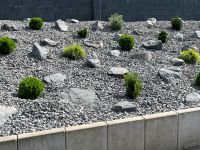Splitt Schotter Gabionen Steinbeet Steingarten Basalt + LIEFERUNG Nordrhein-Westfalen - Düren Vorschau