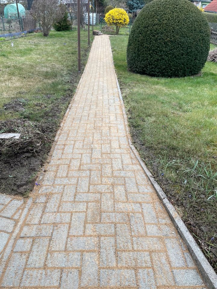 Steinreinigung Terrassenreinigung Pflasterreinigung in Helbra