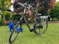 RIH X-Omega 3, E-Bike, Gr.54 Nordrhein-Westfalen - Kleve Vorschau