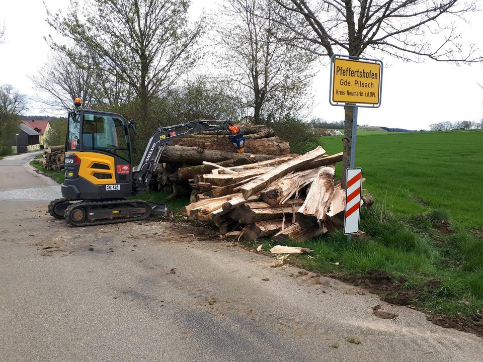 Kegelspalter Holzspalter Minibagger mieten in Kastl b. Amberg