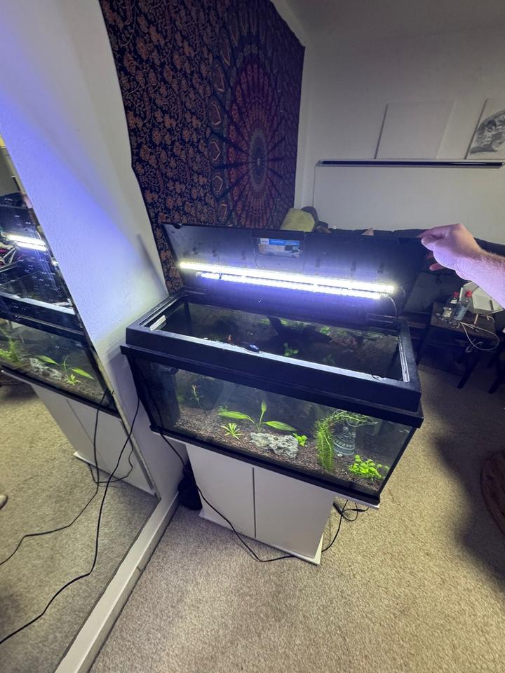 Dehner Aquarium 110L inkl Unterschrank und Pflanzen in Bayern