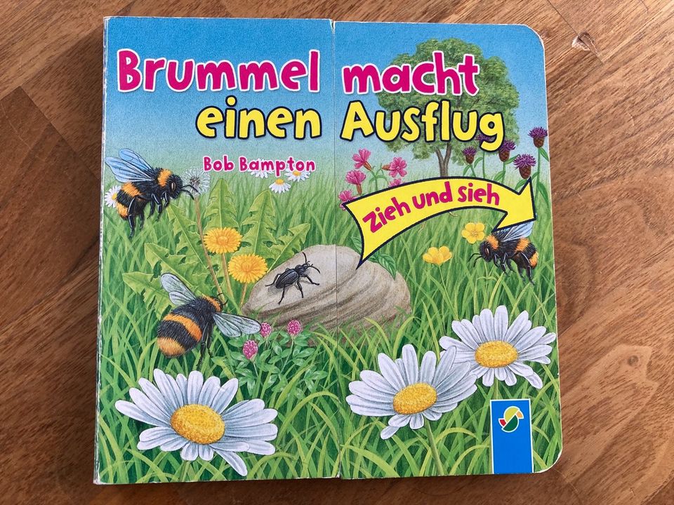 Buch Brummel macht einen Ausflug in Untergruppenbach