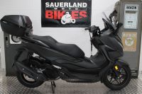 Honda NSS 125 AD Forza 1.Hand ABS TCS Nordrhein-Westfalen - Meschede Vorschau