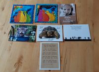 7 Postkarten, Karten, bunt, Tiere, Sprüche, Katzen, Deko Bayern - Reichenberg Vorschau
