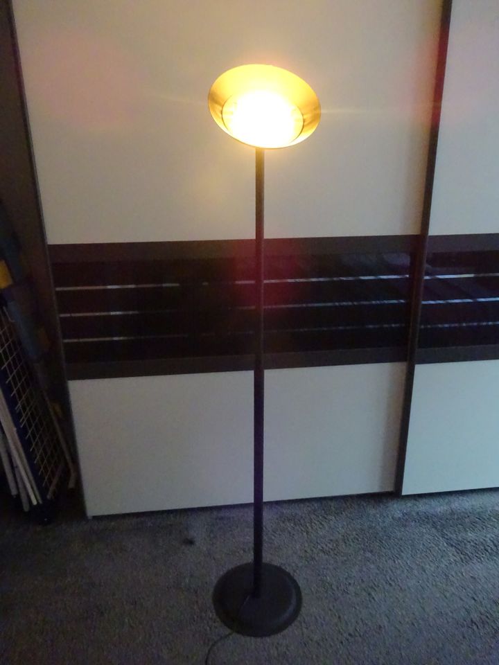 Halogen-Stehlampe in Kaiserslautern