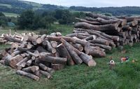 Suche Stammholz, Brennholz, Bäume, Wald Hessen - Neuenstein Vorschau