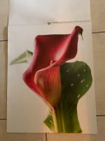 Kalenderbilder 12 Blumenmotive ca. 49x60,5 cm Nordrhein-Westfalen - Neukirchen-Vluyn Vorschau