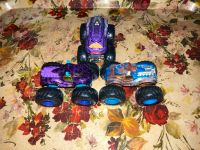 Hot Wheels Monster Trucks Steer Clear Stier Nordrhein-Westfalen - Paderborn Vorschau