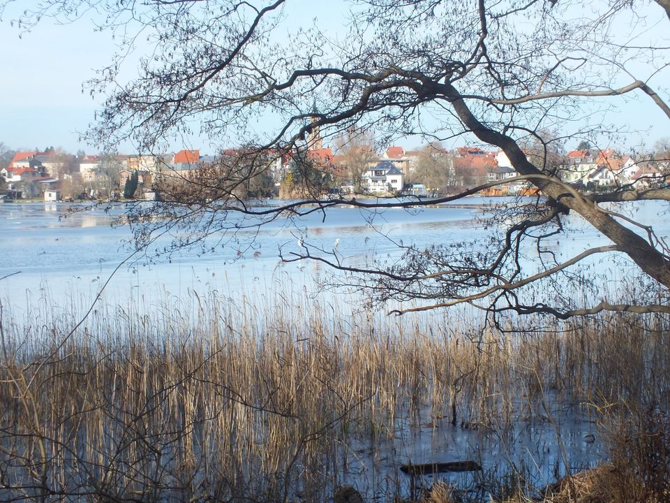 Wohnen am See! Voll erschlossene Baugrundstücke am Baalensee zu verkaufen! in Fürstenberg/Havel