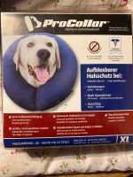 Halskrause/Halsschutz für Hund ProCollar XL Rheinland-Pfalz - Klein-Winternheim Vorschau