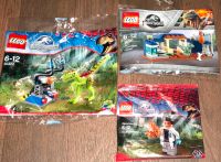 3 Lego Jurassic World Polybag Sammlung Figuren Neu 30320 30382 Nordrhein-Westfalen - Recke Vorschau