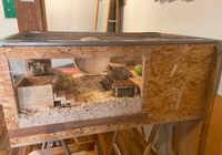 Holzkäfig vom Schreiner gebaut Bayern - Bad Endorf Vorschau