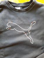 Puma Pullover Pulli Herren Rheinland-Pfalz - Bechhofen Vorschau