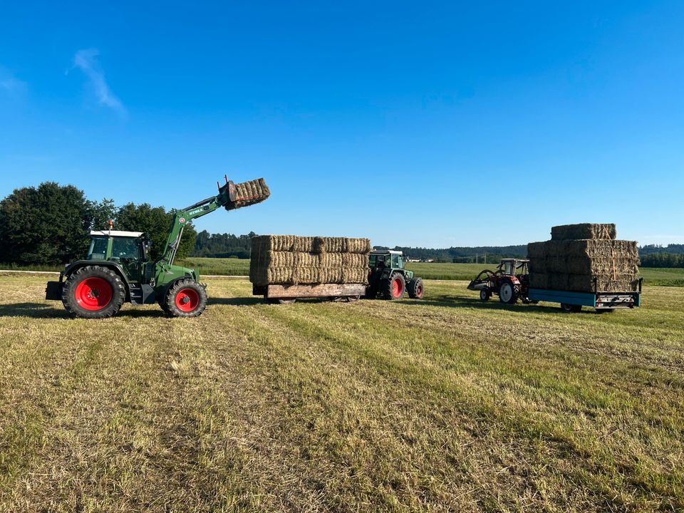 Heu Quaderballen/Weizen /Gerstenstroh in Waldkraiburg