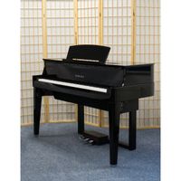 Yamaha N1X Avant Grand Hybrid Piano gebraucht inkl. Garantie + Li Thüringen - Jena Vorschau