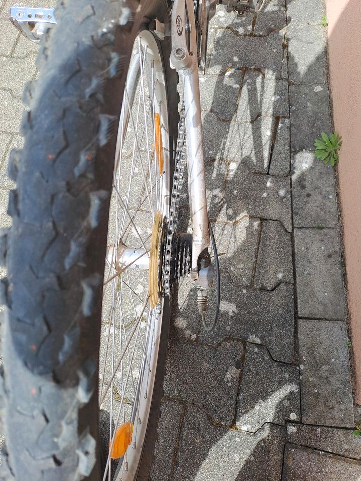 Gt Fahrrad in Florstadt