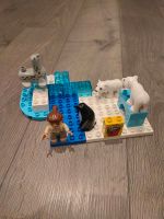 Lego Duplo Eisbären & Seelöwen Niedersachsen - Schortens Vorschau