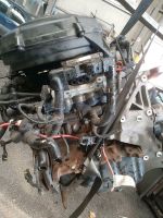 Motor Fiat punto  1,2 Liter  300€€ Bremen - Hemelingen Vorschau