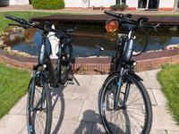 2 E Bikes Aluminium, 625WH Akku, Damenrad, Metallic Nordrhein-Westfalen - Minden Vorschau