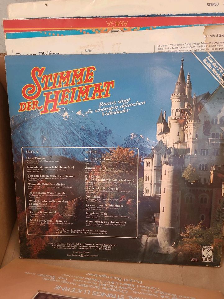 Schallplatten Sammlung in Ronnenberg