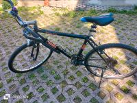 Fahrrad zum Verkaufen  150€ Bayern - Freilassing Vorschau