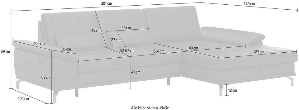 Ledersofa Ledercouch Lederecksofa Sofa Couch Ecksofa in Salzkotten