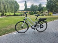 Winora E-bike nur 126 km  Ebike E Bike Elektrofahrrad Niedersachsen - Peine Vorschau