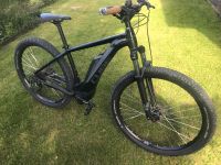 Cube Reaction PRO 29 Zoll Ebike Bayern - Landshut Vorschau