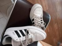 Adidas Schuhe Gr 40 Niedersachsen - Nordhorn Vorschau