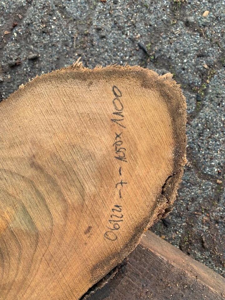 Walnussscheibe Holzbohle Tisch Baumscheibe Wandbild Stamm in Staßfurt