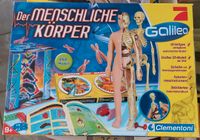 Spiel - Lernspiel - Der menschliche Körper - Clementoni Schleswig-Holstein - Neversdorf Vorschau