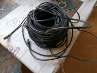 Lan-Kabel zu verkaufen Nordrhein-Westfalen - Senden Vorschau