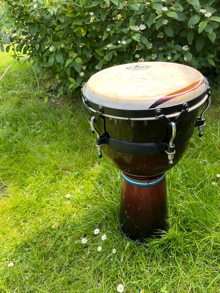 Meinl Djembe afrikanische Trommel in Berlin