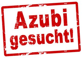 AUSBILDUNGSPLATZ als AUTOMOBILKAUFMANN / frau (m/w/d) 09.2024 in Brühl